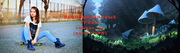 спайс Бородино