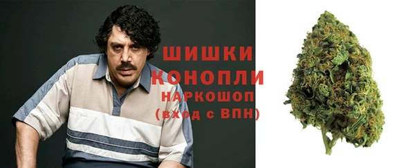спайс Бородино
