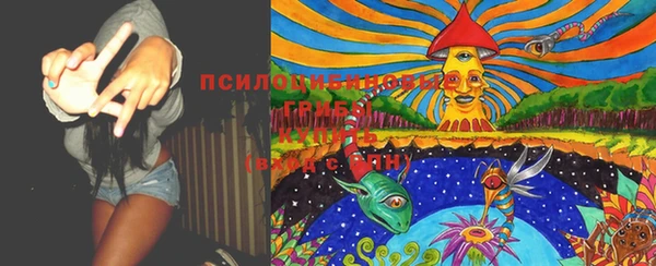спайс Бородино